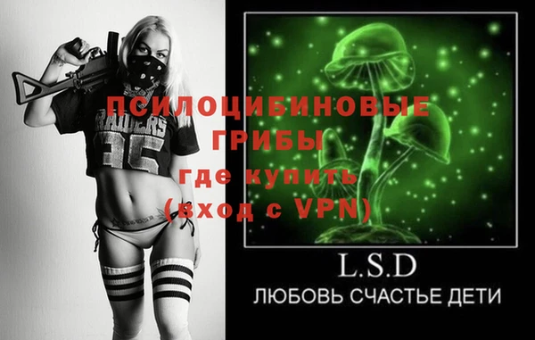ГАЛЛЮЦИНОГЕННЫЕ ГРИБЫ Абдулино